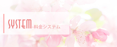料金システム